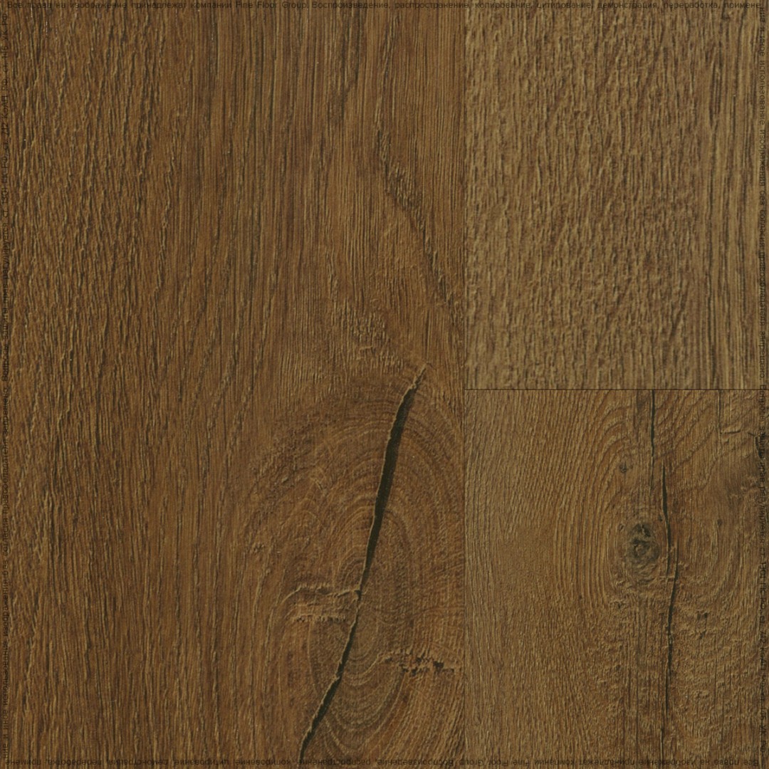 FF-1996 Дуб Каламос