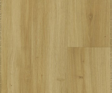 FF-1421 Дуб Базель