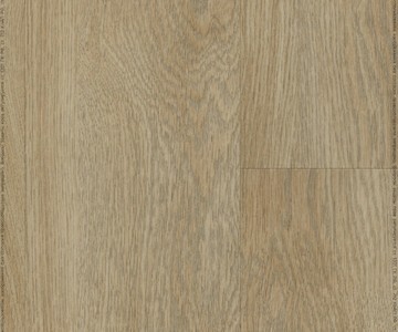 FF-1537 Дуб Лиенц