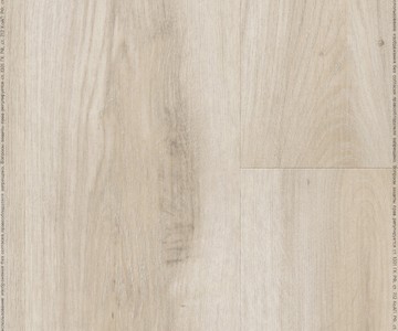 FF-1574 Дуб Верона