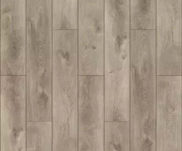 CANYON Дуб северный греш CSPC20296